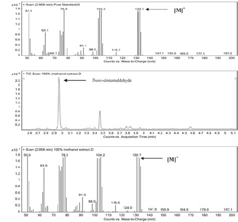 gas analysis by mass spectrometry|how to interpret gas chromatography results.